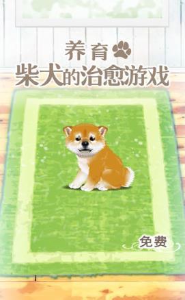 养育柴犬的治愈 V1.0 安卓版