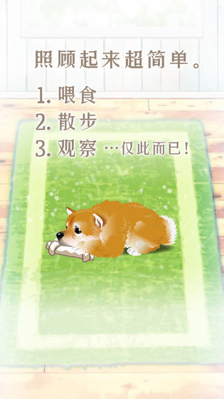 养育柴犬的治愈 V1.0 安卓版