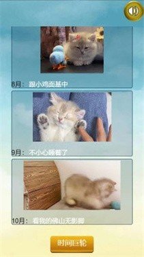 猫的一生重启模拟器 V1.0 安卓版