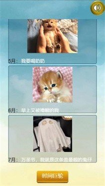 猫的一生重启模拟器 V1.0 安卓版