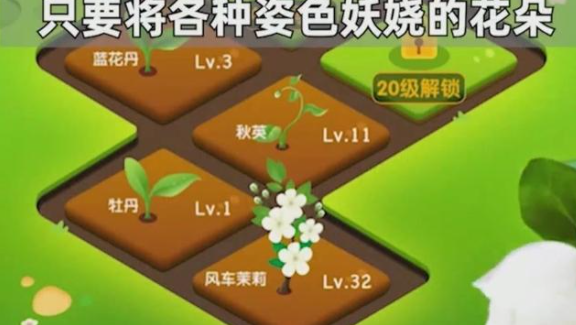 幸运花园 V1.0 安卓版