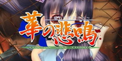 华之悲鸣 V1.0 安卓版