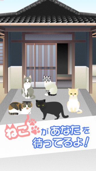 可爱猫咪满满2