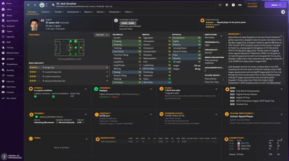 Football Manager 2024中文版