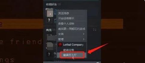 致命公司怎么联机 联机方法介绍图6