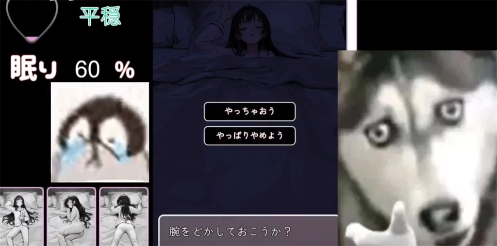 Slg女孩睡眠模拟器桃子移植无广告版图1