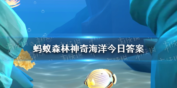 螳螂虾之所以得名是因为与螳螂有血缘关系吗 神奇海洋螳螂虾答案3.15最新图1