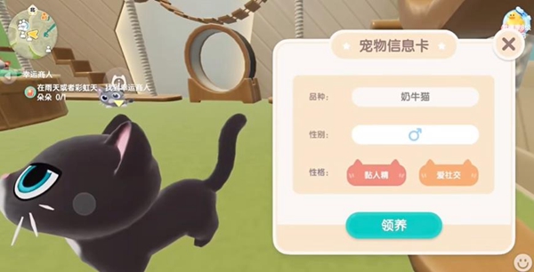 心动小镇怎么养猫 心动小镇养猫攻略图2