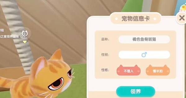 心动小镇怎么养猫 心动小镇养猫攻略图1