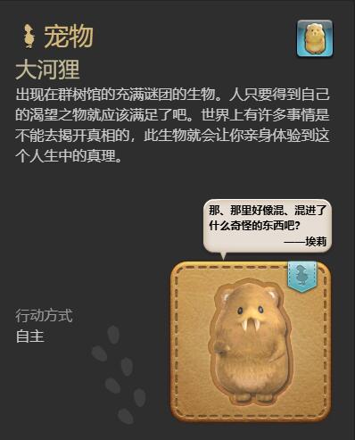 ff14大河狸宠物获得方法图3