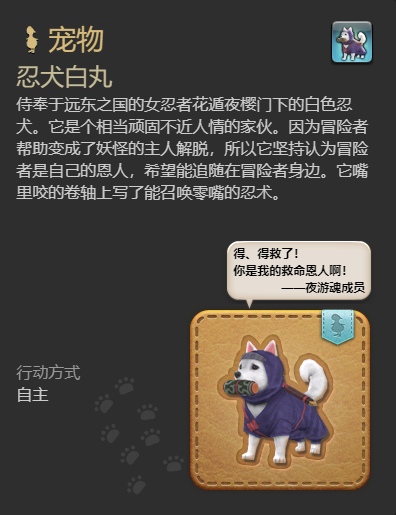 ff14忍犬白丸宠物获得方法图4