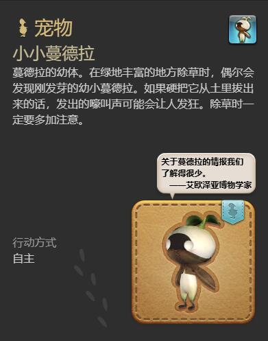 ff14小小蔓德拉获得方法图6