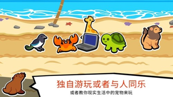 小动物自走棋全动物最新版图2