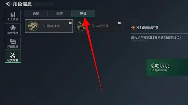 三角洲行动称号在哪设置 三角洲行动称号设置方法图3